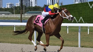 Leonel Reyes duplicó en Gulfstream Park este jueves con batacazo incluido