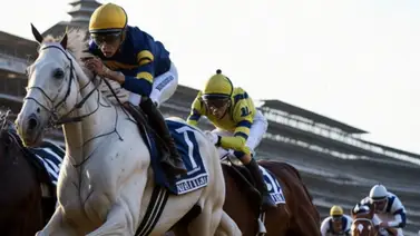 Repole vs Stewart No es boxeo, es hipismo Repole vs Stewart No es boxeo, es hipismo