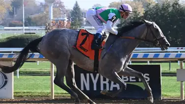 Javier Castellano suma otra victoria en este tipo de pista en Estados Unidos Javier Castellano suma otra victoria en este tipo de pista en Estados Unidos