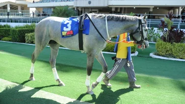 Datos de Última Hora para el Hipódromo La Rinconada 28-04-2024