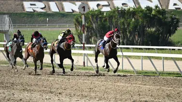Favoritos de la cátedra para la Reunión N°16 en el Hipódromo La Rinconada Favoritos de la cátedra para la Reunión N°16 en el Hipódromo La Rinconada