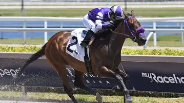 Sonny León se acerca a una cifra de victorias importantes en Estados Unidos Sonny León se acerca a una cifra de victorias importantes en Estados Unidos