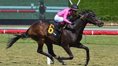 Emisael Jaramillo gana dos y pelea el meeting en Gulfstream Park