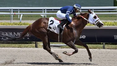 Víctor Barboza Jr. gana y es colíder en el meeting de Gulfstream Park