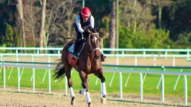 ¡Nuevo talento! Aprendiz venezolano logra primer triunfo en Estados Unidos ¡Nuevo talento! Aprendiz venezolano logra primer triunfo en Estados Unidos