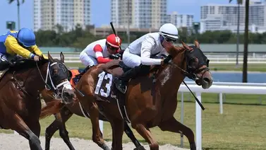 Cipriano Gil sorprende la taquilla este sábado en Gulfstream Park Cipriano Gil sorprende la taquilla este sábado en Gulfstream Park
