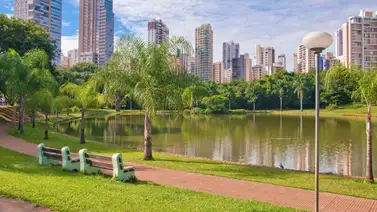 Esto dice la ciencia sobre la relación entre vivir en espacios verdes y la depresión Esto dice la ciencia sobre la relación entre vivir en espacios verdes y la depresión