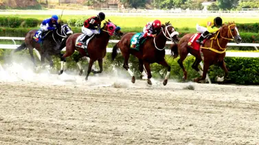 Récord en el monto sellado en La Rinconada por séptima semana consecutiva Récord en el monto sellado en La Rinconada por séptima semana consecutiva