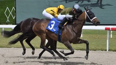 Sonny León llega a las 900 victorias como profesional en Estados Unidos Sonny León llega a las 900 victorias como profesional en Estados Unidos