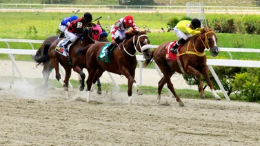Asi quedaron los resultados de las carreras en La Rinconada 28-4-2024