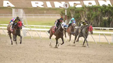 Comisarios del INH suspenden aprendiz de La Rinconada por este motivo Comisarios del INH suspenden aprendiz de La Rinconada por este motivo