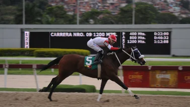 Propietario denuncia a jockey en La Rinconada por inconformidad en la conducción (+Resolución)