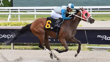 Emisael Jaramillo es el más destacado del domingo en Gulfstream Park Emisael Jaramillo es el más destacado del domingo en Gulfstream Park