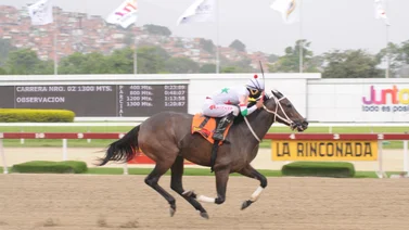 Esto dijo el jinete de Fior de Lino luego de su carrera en La Rinconada 