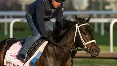 Conoce los 20 propietarios de los ejemplares que disputarán el Kentucky Derby N°150 Conoce los 20 propietarios de los ejemplares que disputarán el Kentucky Derby N°150