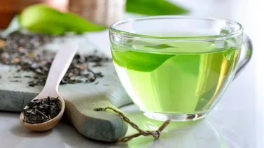 ¿Para qué sirve el Té Verde? Beneficios y propiedades de esta planta milenaria