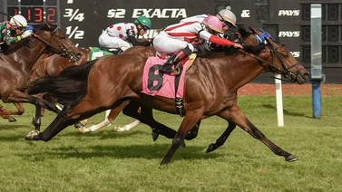 Aquí las montas de Irad Ortiz Jr. este sábado día del Kentucky Derby