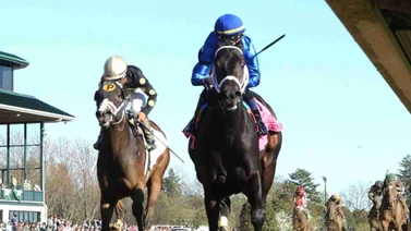 Retirado este ejemplar del Kentucky Derby 150