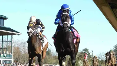 Retirado este ejemplar del Kentucky Derby 150 Retirado este ejemplar del Kentucky Derby 150