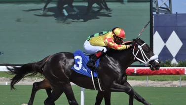 Esto dice Víctor Barboza Jr. de Grand Mo The First rumbo al Kentucky Derby