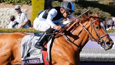 Jockey boricua gana tercer título de campeón en este hipódromo de Estados Unidos
