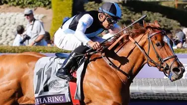 Jockey boricua gana tercer título de campeón en este hipódromo de Estados Unidos Jockey boricua gana tercer título de campeón en este hipódromo de Estados Unidos