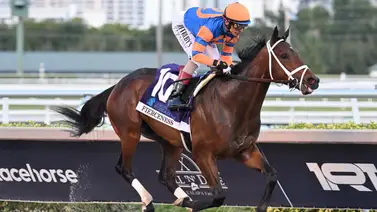 Fierceness no irá por el puesto de partida N°17 y esta es la razón Fierceness no irá por el puesto de partida N°17 y esta es la razón