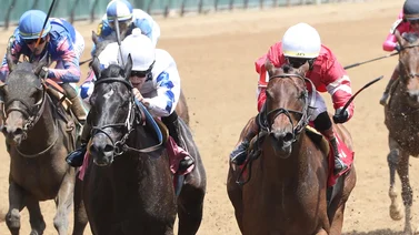 Aquí el Best Bet y los Tips para Churchill Downs 01-05-2024
