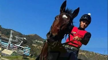 Hija del semental que costó $3.000.000 hace su estreno en La Rinconada