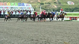 Yeguas chilenas están cerca de llegar a La Rinconada para correr en el 2025