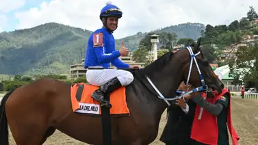 Javier Castellano va por su tercer Memorial este sábado en Nueva York Javier Castellano va por su tercer Memorial este sábado en Nueva York