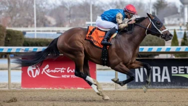 Nieto de Curlin buscará cupo al Kentucky Derby en la clasificatoria de la Dubai World Cup