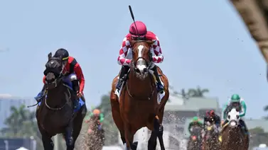 Gulfstream Park da inicio al Royal Palm Meet este jueves con ocho carreras Gulfstream Park da inicio al Royal Palm Meet este jueves con ocho carreras