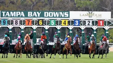 Datos de última hora más Best Best y Picks para la jornada en Tampa Bay Downs 2-4-2025 +Retirados Datos de última hora más Best Best y Picks para la jornada en Tampa Bay Downs 2-4-2025 +Retirados