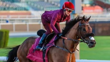 Así saldrán Jorge Delgado y Emisael Jaramillo en la Dubai Golden Shaheen G1