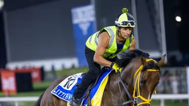 Este es el puesto de partida del caballo de Víctor Martínez el sábado en la Godolphin Mile G2 Este es el puesto de partida del caballo de Víctor Martínez el sábado en la Godolphin Mile G2