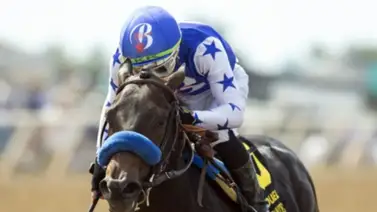 Tenma está de vuelta para buscar los puntos que la ponga en la Kentucky Oaks Tenma está de vuelta para buscar los puntos que la ponga en la Kentucky Oaks