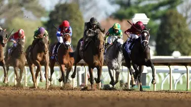 El Blue Grass Stakes G1 será este martes con $1.250,000 en premios en el inicio de Keeneland El Blue Grass Stakes G1 será este martes con $1.250,000 en premios en el inicio de Keeneland