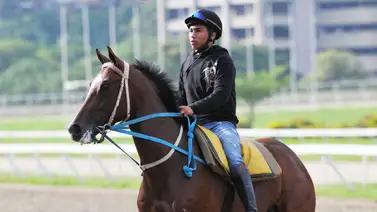 Descubre la yegua que le gusta Hemirxon Medina para llevarse la victoria en el 5y6 nacional (+Video) Descubre la yegua que le gusta Hemirxon Medina para llevarse la victoria en el 5y6 nacional (+Video)