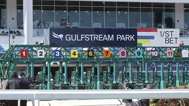 Carreras en Gulfstream Park podrán seguir siete años más con la nueva ley Carreras en Gulfstream Park podrán seguir siete años más con la nueva ley