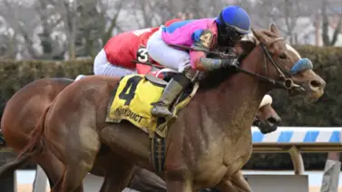 Bernietakescharge lista para conquistar un stakes de 125 mil dólares Bernietakescharge lista para conquistar un stakes de 125 mil dólares