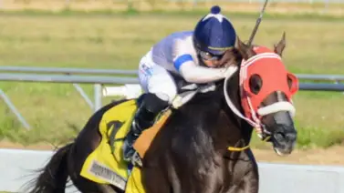 Entrenador Luis Valerón logró doblete en República Dominicana Entrenador Luis Valerón logró doblete en República Dominicana