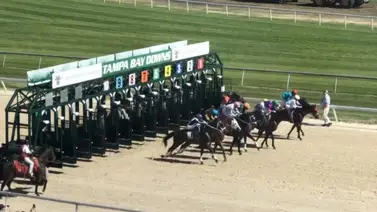 Jockeys venezolanos generan Pick 5 de $2.451,15 en Tampa Bay Downs Jockeys venezolanos generan Pick 5 de $2.451,15 en Tampa Bay Downs