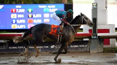 Mychel Sánchez listo para los $300 mil que repartirá el Carter Stakes en Aqueduct Mychel Sánchez listo para los $300 mil que repartirá el Carter Stakes en Aqueduct