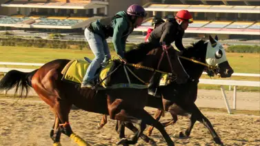 Entérate del ejemplar que destacó con el mejor ajuste para el 5y6 dominical Entérate del ejemplar que destacó con el mejor ajuste para el 5y6 dominical