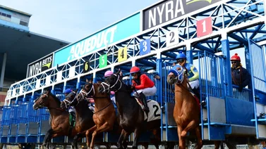 13 carreras y cinco Stakes a disputarse el sábado en Aqueduct