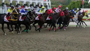 Conoce a esta hora los caballos con más fuerza en el hipódromo La Rinconada Conoce a esta hora los caballos con más fuerza en el hipódromo La Rinconada