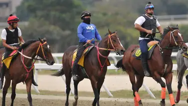 Potencia tu estrategia de apuesta con este ajuste de la sorpresa de Gaceta Hípica para el 5y6 dominical Potencia tu estrategia de apuesta con este ajuste de la sorpresa de Gaceta Hípica para el 5y6 dominical