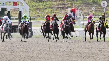 Con el ajuste cómodo de este ejemplar lo deja listo para buscar victoria en la R12 Con el ajuste cómodo de este ejemplar lo deja listo para buscar victoria en la R12