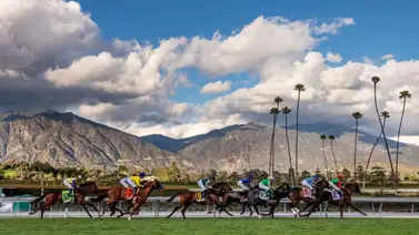 Mosca con los datos de última hora para la jornada de este viernes en Santa Anita Park 4-4-2025 Mosca con los datos de última hora para la jornada de este viernes en Santa Anita Park 4-4-2025